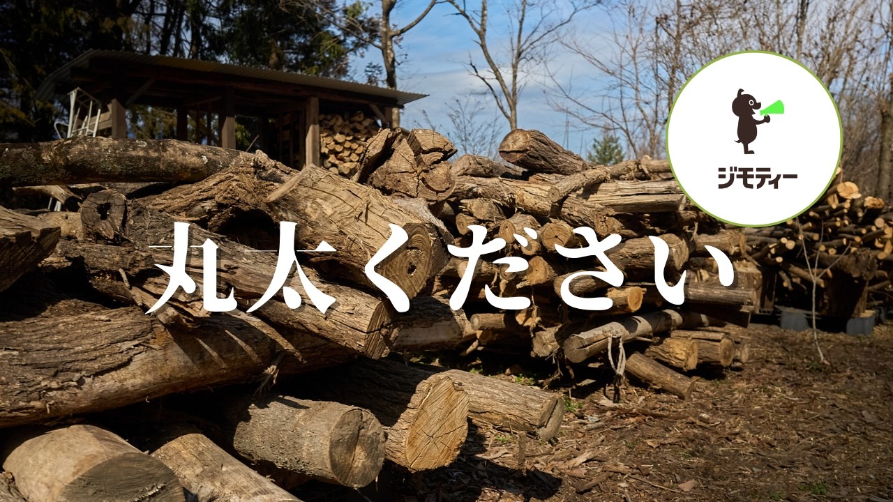 造園屋さんから頂戴したケヤキの原木を玉切り（大きいのは400～500キロ