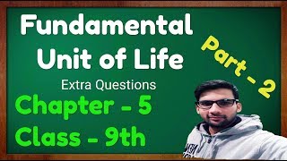 Fundamental Unit of Life Class 9 Science Chapter 5 Part 2 Biology CBSE NCERT KVS