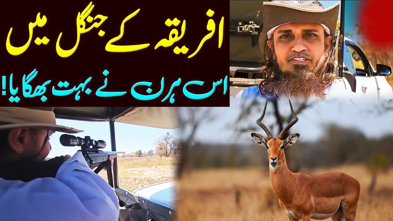 Africa KE Jungle Mein Mufti Sahab Ko Is Hiran Nay Bohat Preshan Kiya | Mufti Tariq Masood Guidance