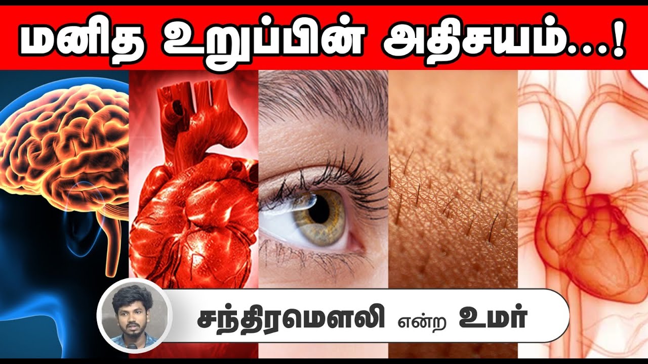 மனித உறுப்பின் அதிசயம்...!┇சந்திரமௌலி என்ற உமர்┇08-06-2025┇Way to Paradise