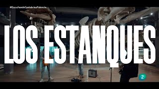 Los estanques 'Clamando al error' | Un país para escucharlo | La 2