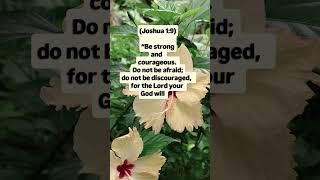 ✝️ Put your faith in Jesus and receive His everlasting peace.#amen #bible #jesus #motivation