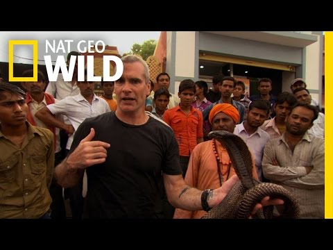 Video: India, een land dat niet alleen slangenbezweerders is