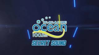 Secret Sound Reveal 3