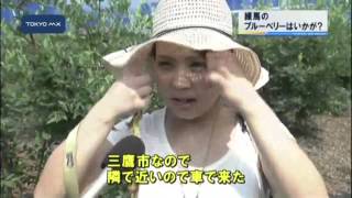 夏休みのレジャースポット　練馬区でブルーベリー摘み体験