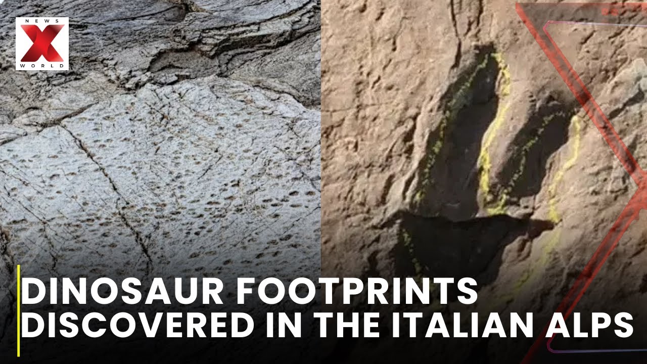 200 Million-Year-Old Dinosaur Footprints Unearthed in Stelvio National Park | NewsX World