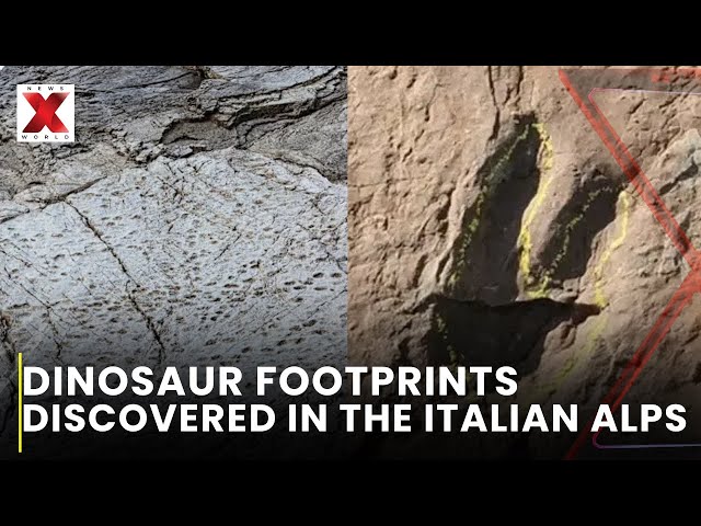 200 Million-Year-Old Dinosaur Footprints Unearthed in Stelvio