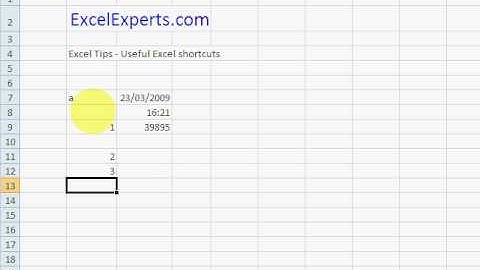 ExcelExperts.com - Excel Tips Useful Excel shortcuts