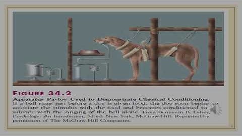 ZOOL1112 - Lecture 18 - Animal Behaviour