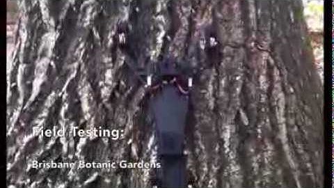 Scansorial (Climbing) Robotic Platform