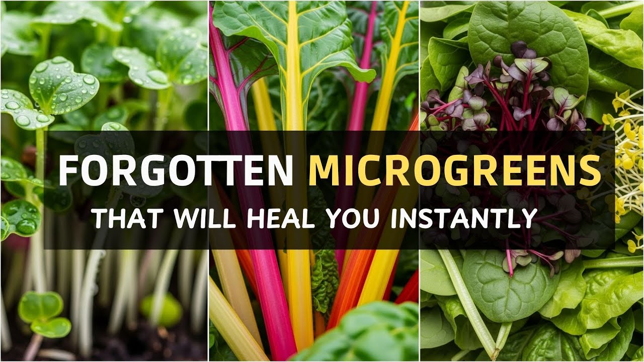20 Forgotten Microgreens That Will Heal You Instantly