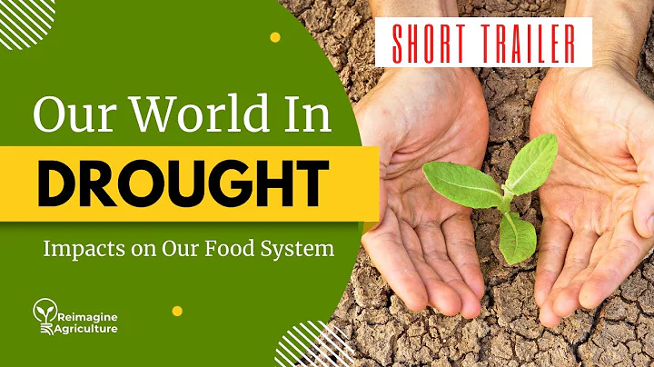 Trailer - Our World in Drought: Impacts on Our Food System - DayDayNews