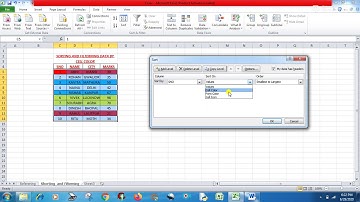 Computer Class 7: Ch-3 Elaboration ON MS Excel 2007 || Sorting and Filtering By Cell Color || Part 3