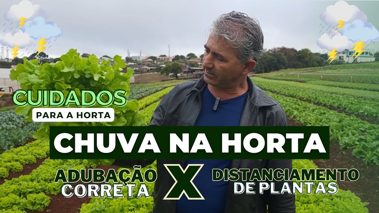 CHUVA EM EXCESSO NA HORTA - COMO FAZER PARA PREVINIR DOENÇAS