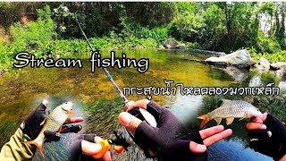 Stream Fishing ตกปลากระสูบน้ำไหลคลองมวกเหล็ก Abu Garcia Max STX Abu Garcia Morrum Area Marter 2-6lb