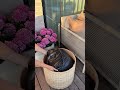 Et lille IKEA tip #short #diy #handmade