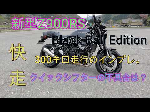 junya-777様 Z900RS 高品質パンチングメッシュ調 T-NET追加 製品情報