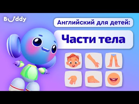 Видео: Части тела на английском | Учим английские слова с Бадди | Buddy.ai | Английский для детей