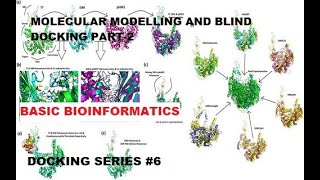 Molecular Modelling and Blind Docking Part 2 [Docking Series #6]