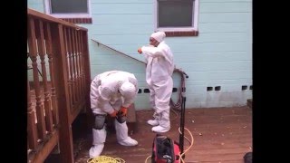 Crawl space mold removal by SERVPRO