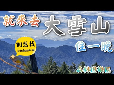 你真懂 ? ????大雪山國家森林遊樂區 開箱小木屋 | 實測5條健行步道 | 山景 | 神木 | 動物 一次滿足. 雪山神木啞口觀景台木馬道天池惠來大雪山大雪山小神木
