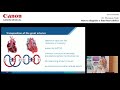 Dr. Monique Haak - How to Diagnose a Fetal Heart Defect