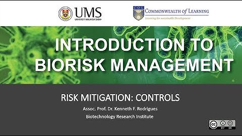 RISK MITIGATION: CONTROLS