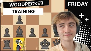 #205 A completely boring Woodpecker Stream 🎯