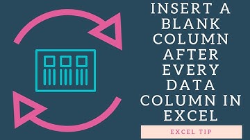 EXCEL TIP INSERT BLANK COLUMNS AFTER EVERY DATA COLUMN IN EXCEL