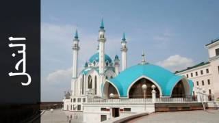 سورة النحل أحمد عامر Surah An Nahl Ahmed Amer