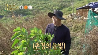 [안싸우면 다행이야] ★에이스 현주엽 출격★ 마지막 입주 닭까지 이사 완료!, MBC 210823 방송