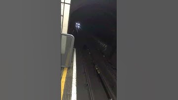 MONSTER RAT in London Underground station