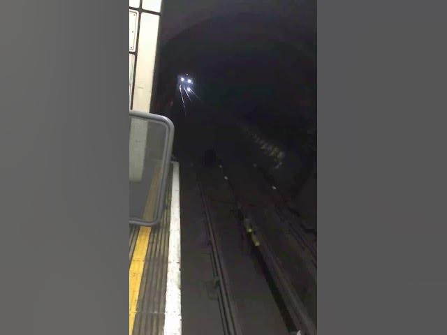 MONSTER RAT in London Underground station