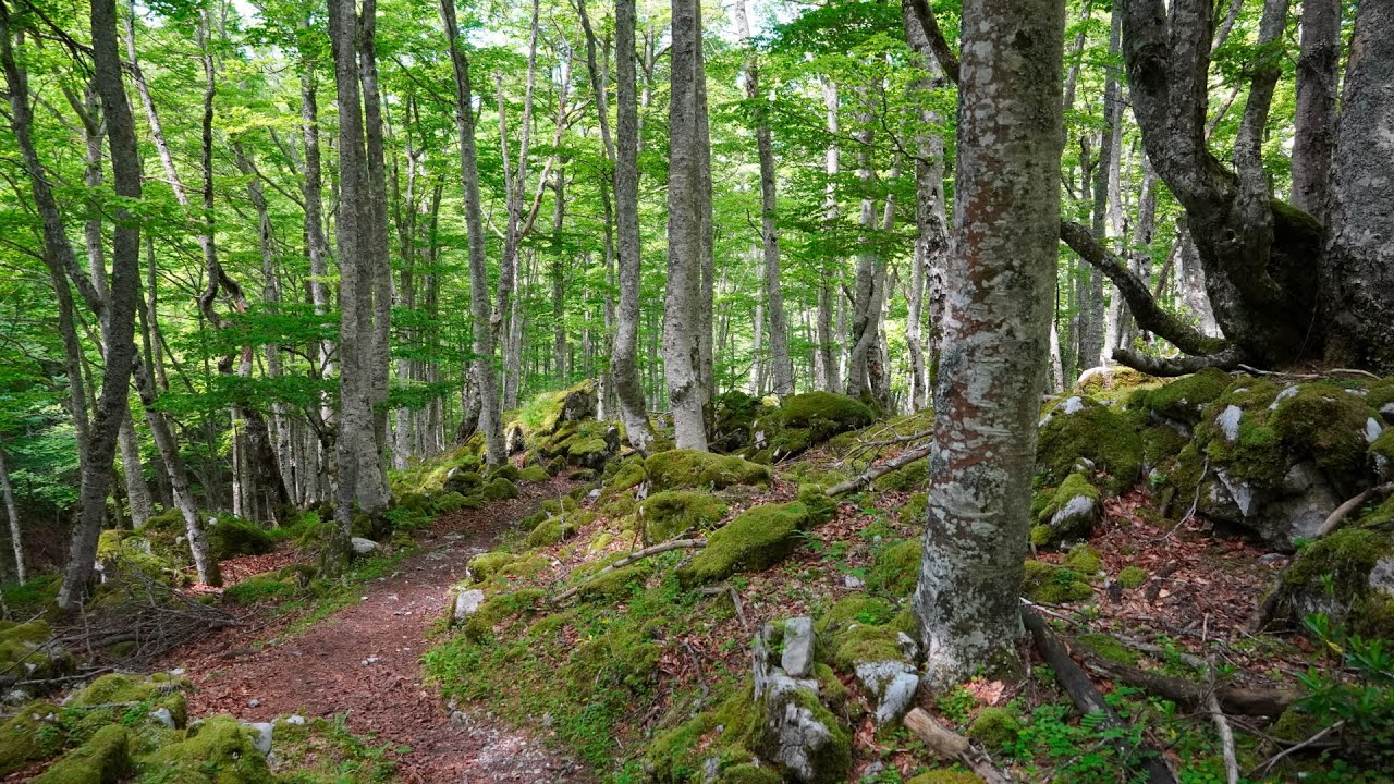 (4K) Ruta el Gumial, Aller, Asturias, España | PR-AS 48 | Senderismo en España #senderismo
