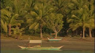 Che Sara Que Sera ( Instrumental ) - Francis Goya