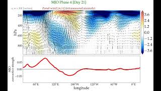 Vertical profile of zonal wind anomaly and wind vectors (intraseasonal anomaly) during active MJO.
