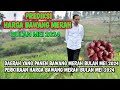 Prediksi harga bawang merah bulan Mei 2024