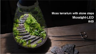 石段のある苔テラリウムの作り方【LED照明付き容器】#49 | How to make a moss terrarium with stone steps #49