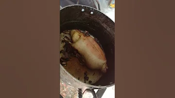 طيور وطبيخ في الهور هربان ابو بسيله 