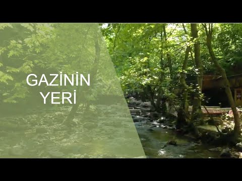 Gazinin Yeri | Neredekal.com