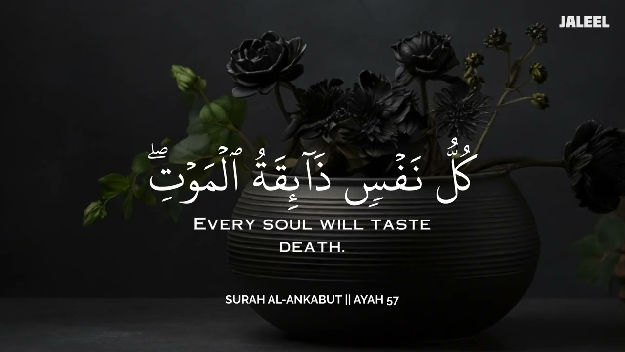 أرح سمعك وقلبك بالقرآن - تلاوة تقشعر لها الأبدان بصوت محمد هشام | Mohamed Hesham | ❤️🎧