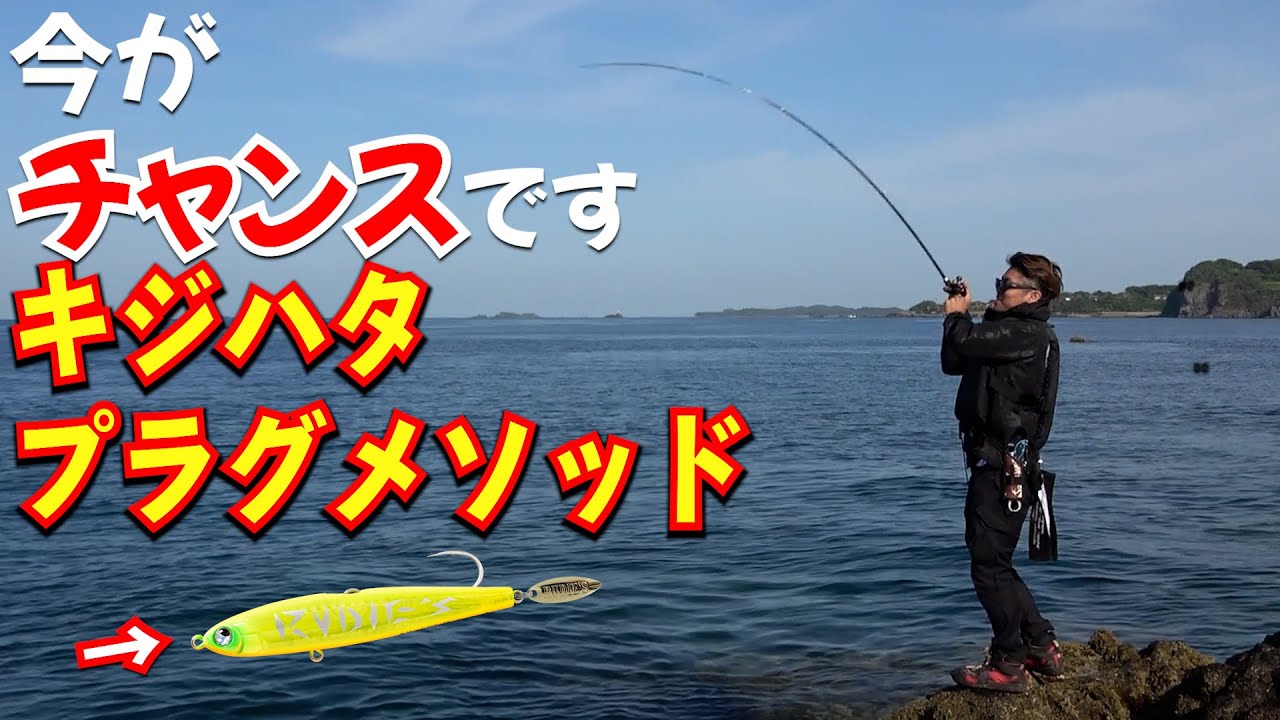 ロックフィッシュ初心者でも釣れる！ワームはいらない？プロが教える