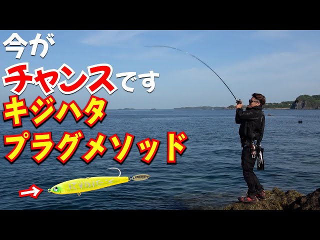 ロックフィッシュ　アコウ　入門セット ロックフィッシュ初心者でも釣れる！ワームはいらない？プロが教える