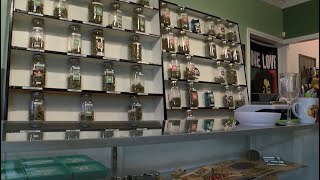 Kern County weed wars: medical marijuana shop extension requests denied by Board of Supervisors