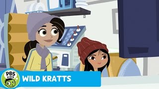 WILD KRATTS | Martin and Chris Get Their Tusk! | PBS KIDS