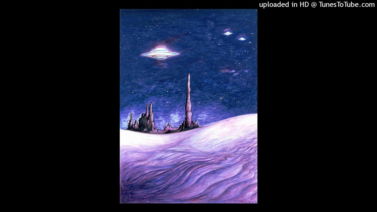 [FREE] Slimggp x Neiiburr x Yung Brando Type Beat "Wyd?" (Prod. Reivil & Thundergod95k)