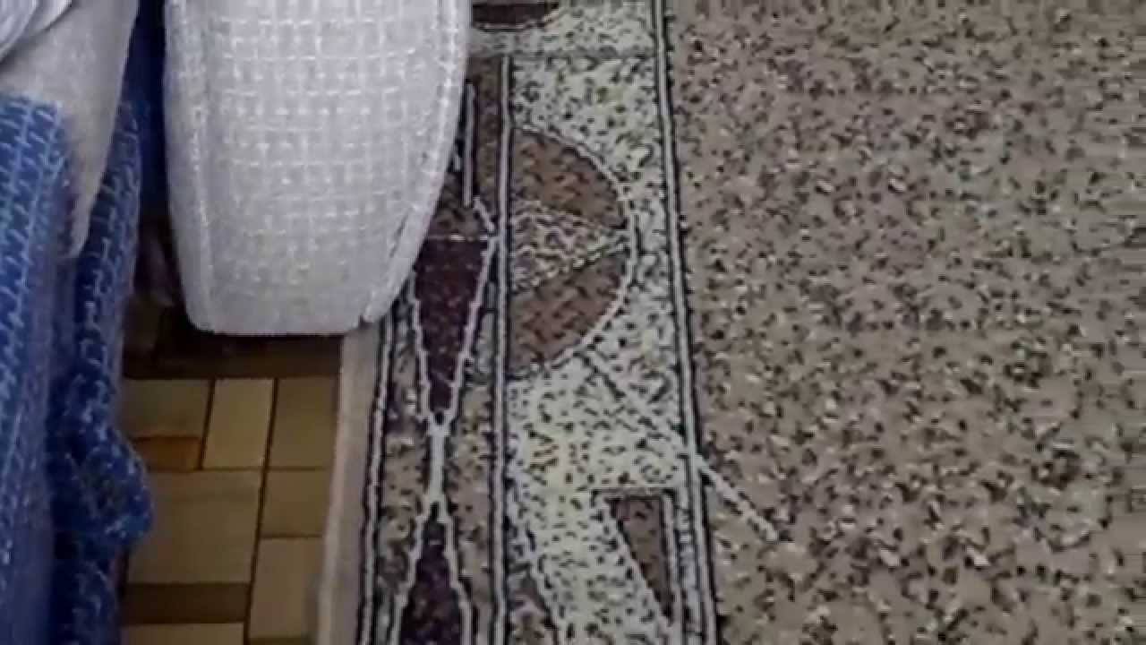 ЖЕЕЕСТЬ!!!! сурок тырит носкиии)))))