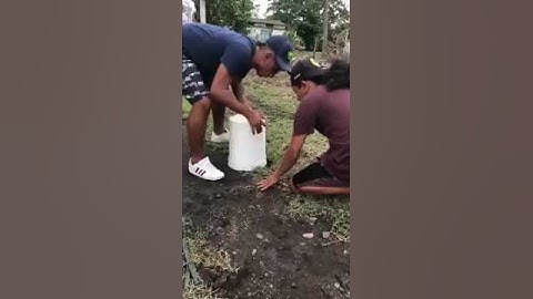 Kan dah kena
