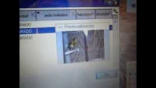 PROGRAMAS DE CONTROL DEL AVIARIO Y DE LOS EJEMPLARES screenshot 5