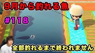 【あつまれどうぶつの森】9月から釣れる魚全部釣れるまで終われません！#118